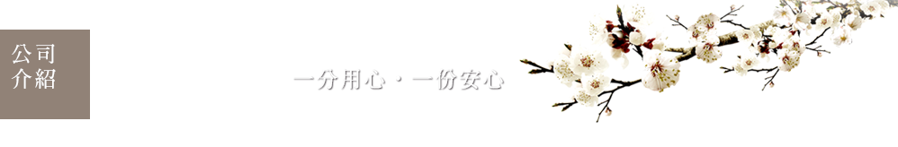 公司簡介